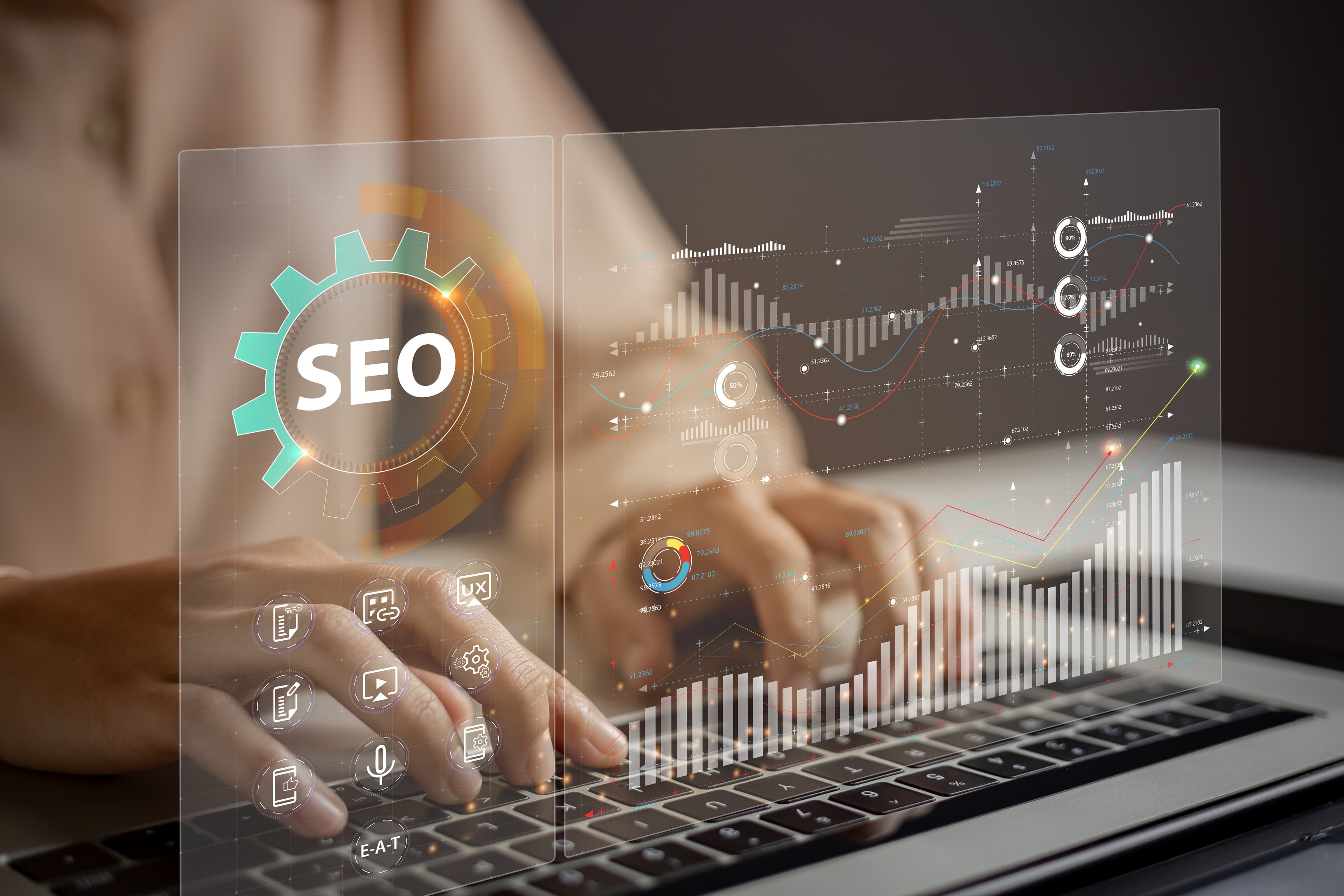 SEO and organic traffic analysis